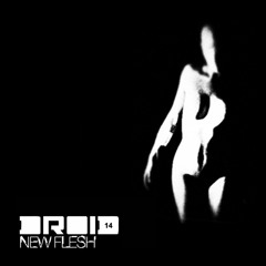 Luis Flores - New Flesh