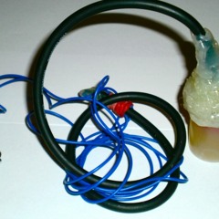 DIY hydrophone test - "Bob" in Lake Alexandrina - May 2012