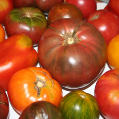 Dont get high off your own supply