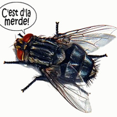 Le corniaud