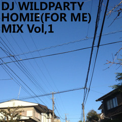 DJ WILDPARTY - Homie(For me)mix
