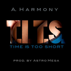 A. Harmony -  T.I.T.S. (Time Is Too Short)