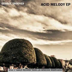 George Grooves - Synthetic Flowers (Original Mix) [Yaakun Records]