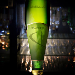 Maegnus - Brawl With A Stranger (Forthcoming On Dubstyle Recordings)