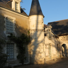 Pegresses Chinoises (Prezault 2012)