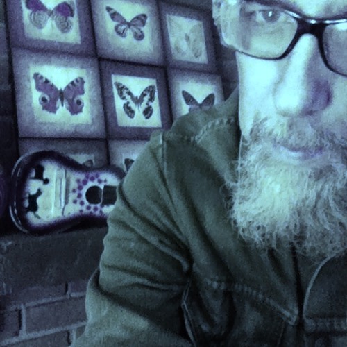 Stoned Butterfly (Bergman & Me)