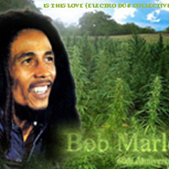 BOB MARLEY - IS THIS LOVE (ELECTRO DUB COLLECTIVE RERUB) PLEASE LEAVE FEEDBACK!