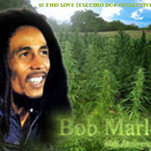 BOB MARLEY - IS THIS LOVE (ELECTRO DUB COLLECTIVE RERUB) PLEASE LEAVE FEEDBACK!