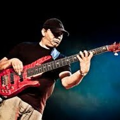 Bireli Lagrene fretless bass solo in a Jaco Pastorius style