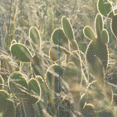 OCB009 Track 2 - Agnostic Realisation Number 2