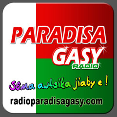 Radio Paradisagasy - DJ PARADISA - Salegy Mix 01 (www.radioparadisagasy.com)