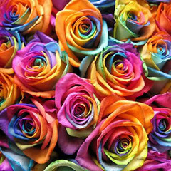 And Roses and Roses - Arranged & Produced by Robbie Leff