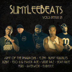 03 Bumpy Knuckles & Dj Premier - B.A.P (Remix Slim-Guesh)