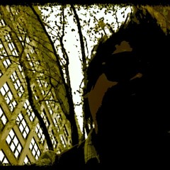 EMP Matrix