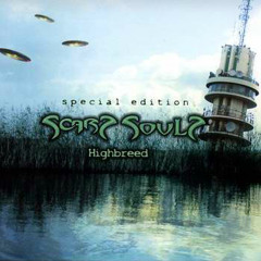 SCARS SOULS - Parallel Systems