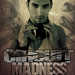 Circuit Madness Vol. 2 (Dj Cindel's Tribal NYC Power Mix)