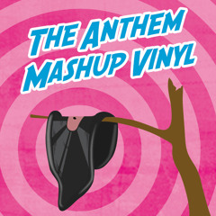 The Speedfreak vs Biochip C. - The Anthem Mashup [MVV01] (CLIP)