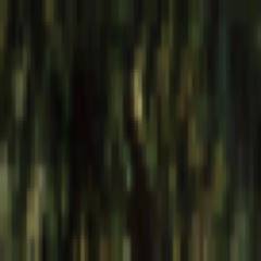 Sri-Sri Yugalastakam of Sri Jiva Goswami