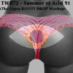 TWR72 - Summer of Acid 91 ( The Gypsy BOOTY DROP Mashup )
