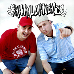 Animal Cannibals feat. Siska Finuccsi - Csillogjon, csörögjön (AndrewStyle Bling Bling Remix)