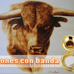 El Toro Viejo - Banda La Reina De Jerez (Sones Con Banda)™