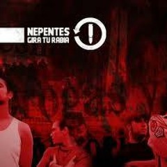 HUELE A GUERRA (Nepentes)