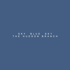 Sky Blue Sky (Wilco Cover)