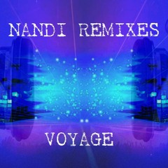 Voyage (Nandi Bootleg Remix) - Desireless Vs. Jochen Pash Feat. PP