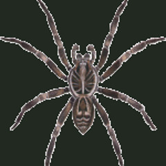 WILL BAILEY - SPIDER ***free download for my people***