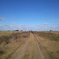 Beta: Reach! (ambientstep mix)