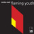 Artwork for Markus Mehr - 'Flaming Youth'