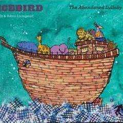 Icebird - Wander