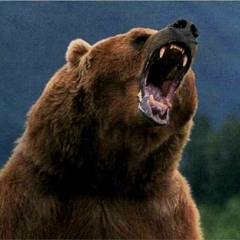The Grizzly