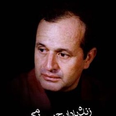 چه دلها....ایرج بسطامی