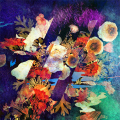 Conveyor - Woolgatherer