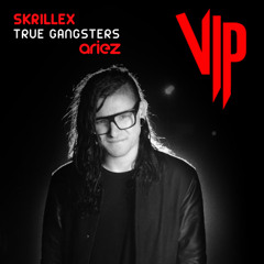 Skrillex - True Gangsters (Ariez VIP)