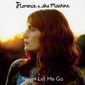 Florence&#x20;And&#x20;The&#x20;Machine Never&#x20;Let&#x20;Me&#x20;Go&#x20;&#x28;Blood&#x20;Orange&#x20;Remix&#x29; Artwork
