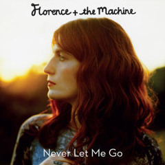 Florence + The Machine - Never Let Me Go (Blood Orange Remix)