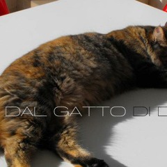 hello girls and boys