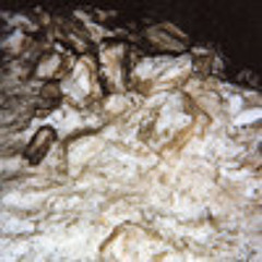 Carrageenan - Commotions (Golden Lab Records 2011)