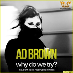 Ad Brown - Why Do We Try (Sunn Jellie Remix)