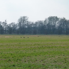 Roots Reggae Mix Tape  Session                                        All Killers, NO Fillers