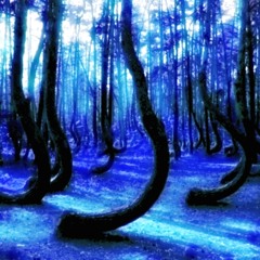 I have seen rings of smoke through the trees