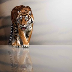 Learn about the 21MostHeardObjections