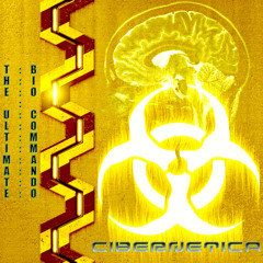 Cibernetica - Robbotica System