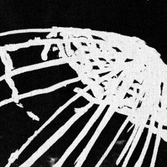 Mites - You Can Come And Shake My Hand (excerpt)