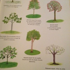 Points of Science, Brazil: Entry 2 at Cidade Universitária II