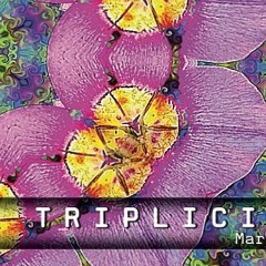 Triplicity *live mix* by Force Majeure