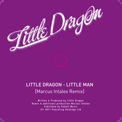 Little Dragon -  Little man Marcus Intalex Remix
