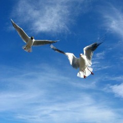 Oceane véritable version